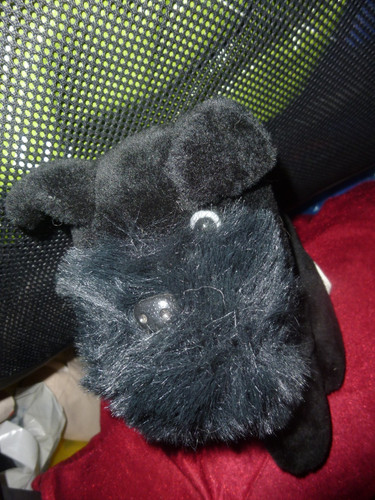 Black scottie dog plush 7 - –, 7"