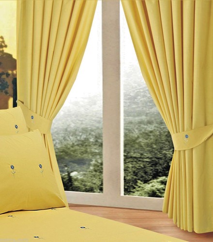 Bellis yellow 72 - bellis, x