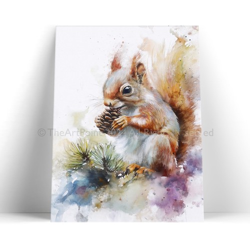 Red squirrel art framed - art,