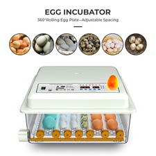 36 Eggs Incubator Temperature