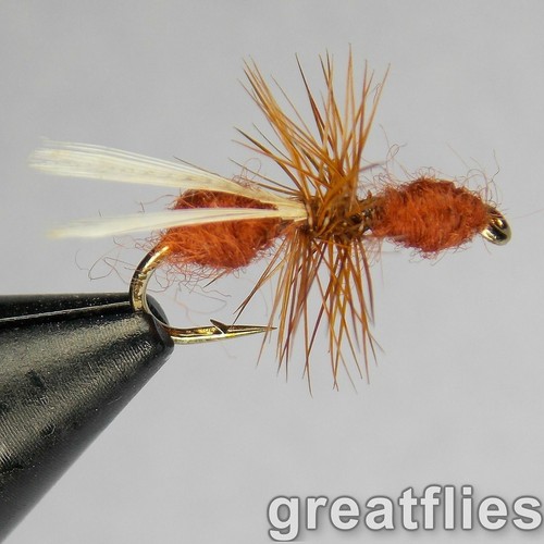 Dozen flying red ant - (12),