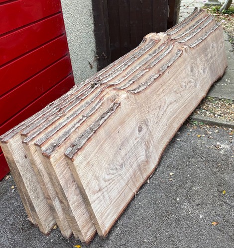 Unseasoned cedar wood slab