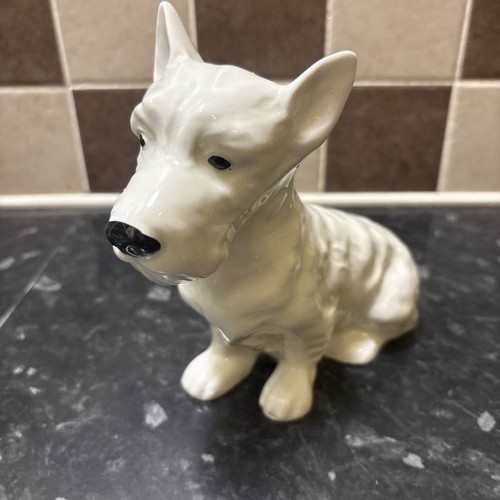 White scottish terrier dog - scottish,
