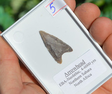 HIGH GRADE PREHISTORIC/