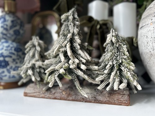 Frosted christmas nordmann fir - frosted,