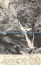 R395230 Fairy Dell Leura Swain Postcard 1905
