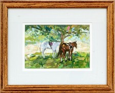 Frank zuccarelli horses - frank,