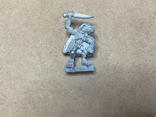 WFB C47 Skaven Nightrunner -