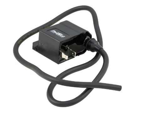 Electronic unit pinasco - electronic,