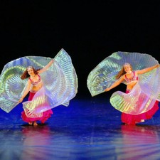 ISIS Wings Belly Dance Costume