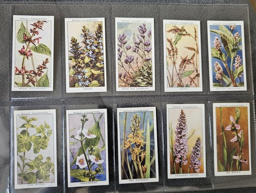 Wild flowers full set 50 - a,