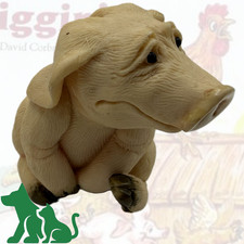 Piggin' Desperate By David Corbridge - Sale For Our Animal Charity