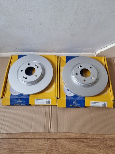National front brake disc set - front,