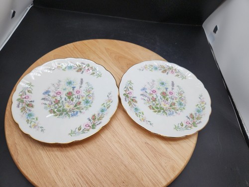 Aynsley wild tudor - wild,