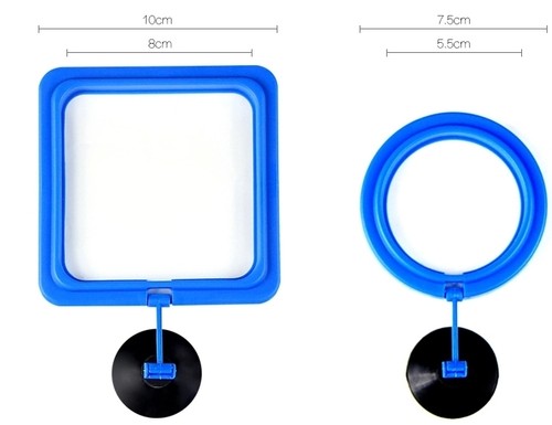 Float fish food feeder - fish, ring
