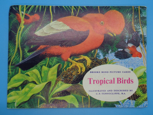 Tropical birds brooke bond - brooke,