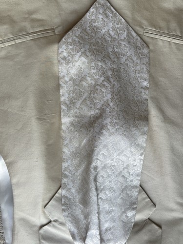 Men silk cravat scarf ascot - men's, cravat/scarf/ascot