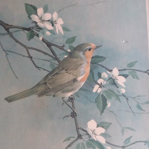 Vintage retro 1966 robin - vintage,