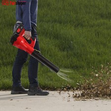 Leaf Blower w/Batteries &