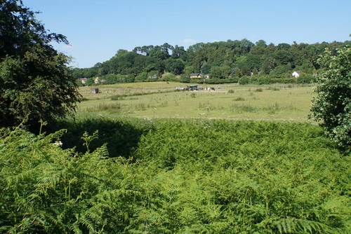 Photo 6x4 grazing land - land, for