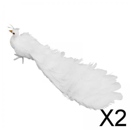 White peacock simulation - 2x,