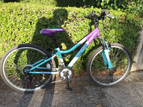 Apollo vivid junior mountain - vivid,