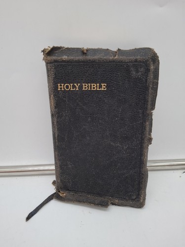 Antique holy bible illustrated - antique,