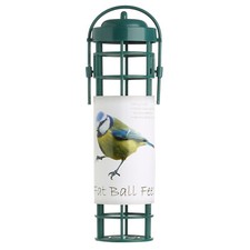 Green Jem Garden Wild Bird
