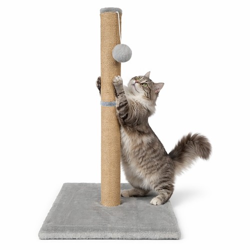 Cat scratching post hanging - scratching,