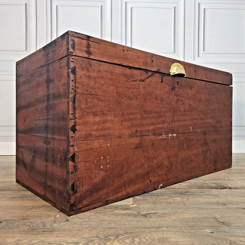 Antique camphor wood chest - chest,
