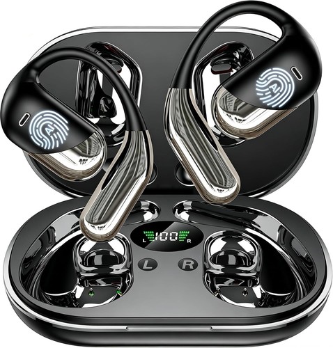Paekole translation earbuds - translation,
