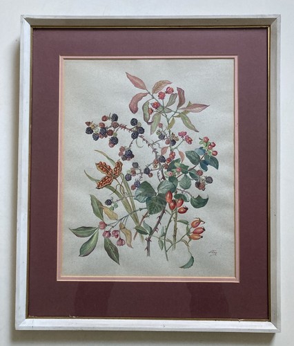 Vintage botanical berries - vintage,
