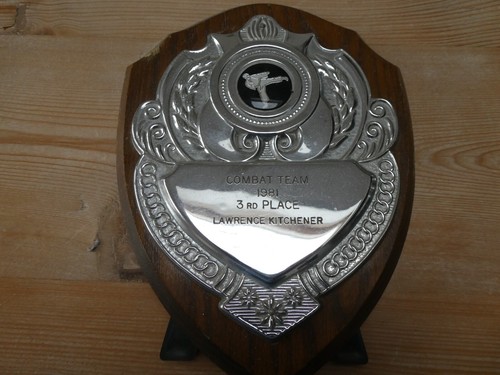 Old martial arts trophy - martial,