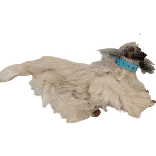 Vintage afghan hound - afghan,