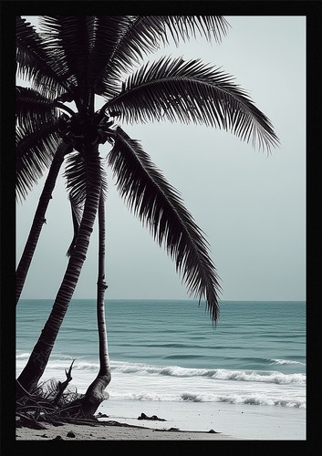 Dramatic tropical beach framed - dramatic,