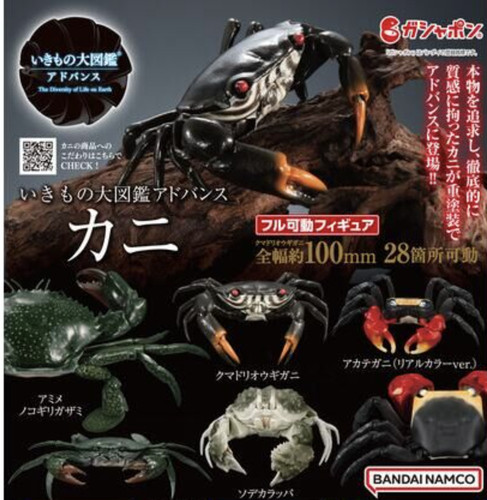 Bandai the diversity - of, life