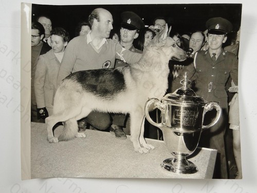 Crufts dog show - crufts,