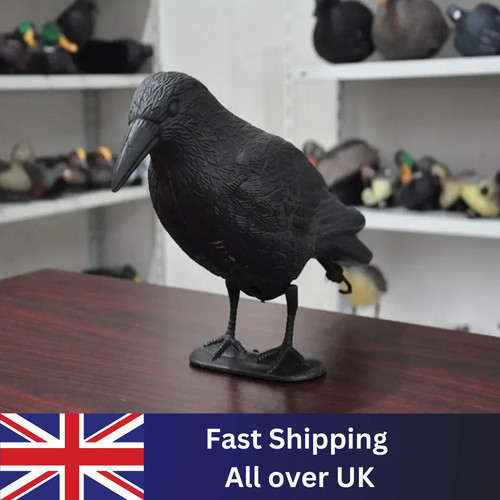 Decoy crow bird raven - decoy,
