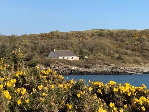 Dog friendly beachside - friendly,