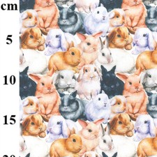 Cotton Fabric Cute Bunny