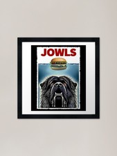 Funny Bouvier des Flandres and