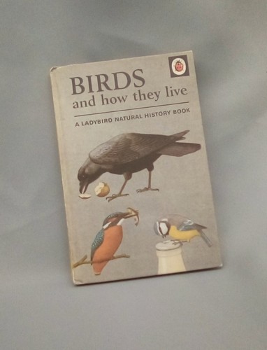 Birds and how they - , live