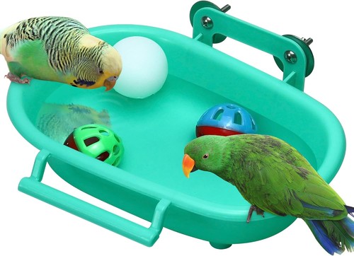 Budgie bath tub bird - bird,