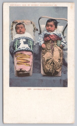 Postcard antique usa native - usa,