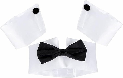 Mens adult male - male, fancy