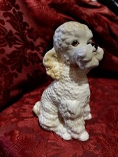 Rare Apricot Colourway