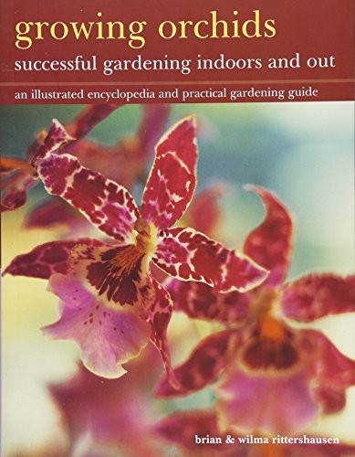 Growing orchids successful - orchids:,