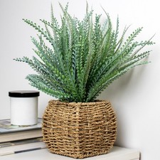 Artificial Fern In Square
