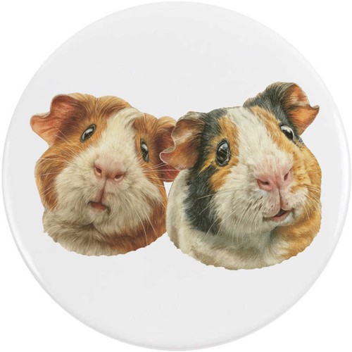 Guinea pig couple button - pig, pin