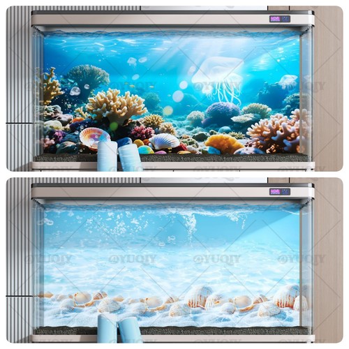 Underwater world aquarium - underwater,
